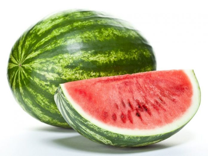 watermelon-1024x768