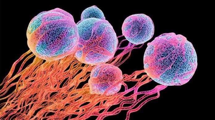 Cancer-News-Round-Up-071918-722x406