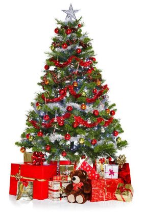 History of Christmas Trees - NewsDay Kenya