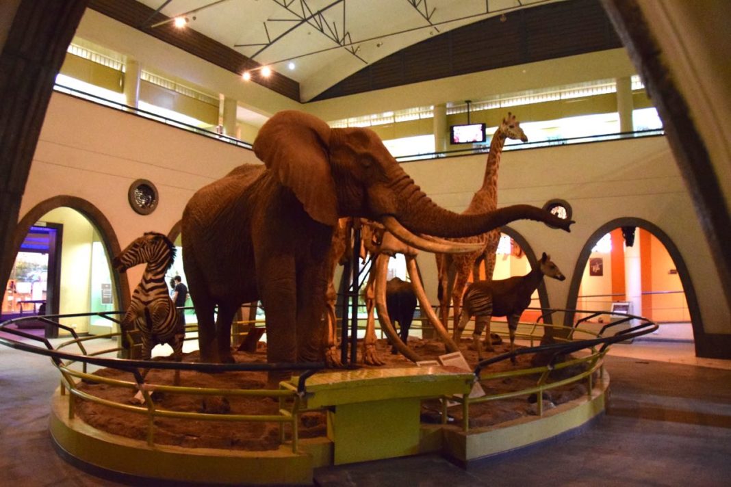 museum