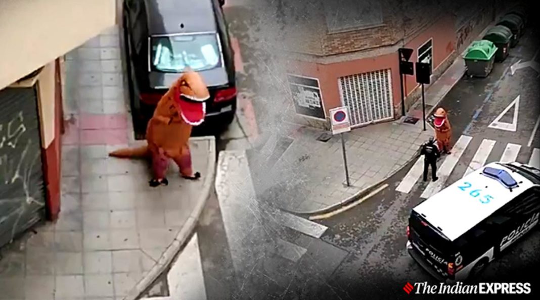 dinosaur