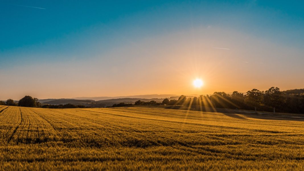 SARAH_Unsplash_FedericoRespini