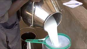 MILK.jpg