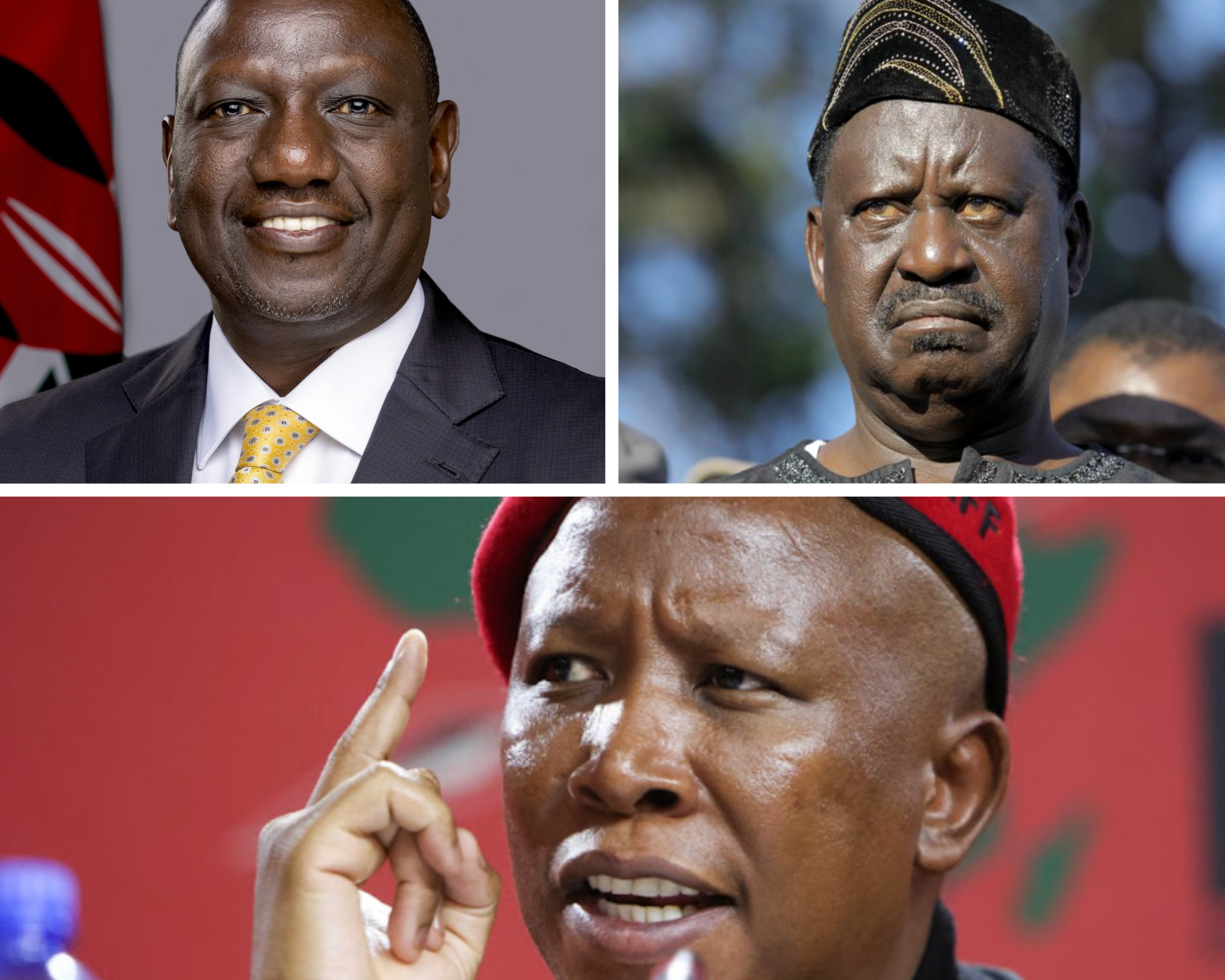 Malema to Raila: Accept and move on, you are old