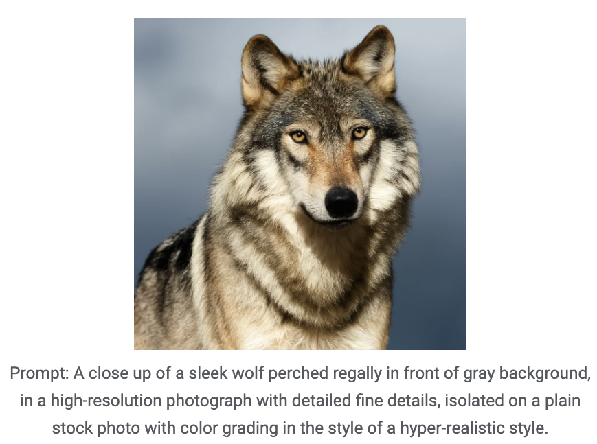 image7 1