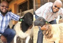 Bernard Njaramba: Story of Entrepreneur Who Quit Lucrative Job to Rear Sheeps