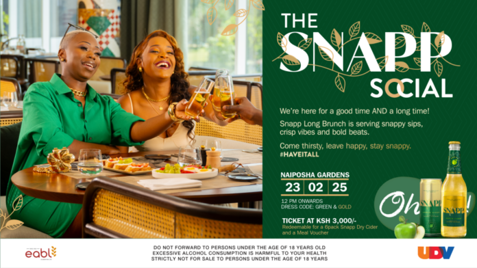 snapp Dry Cider