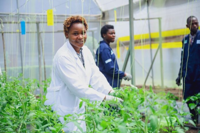 Kilimo Trust