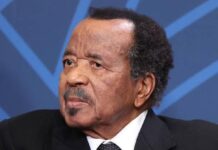 Cameroon president Paul Biya wins eighth term
