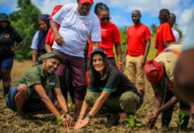 DTB’s ‘much more than trees’ initiative drives mangrove restoration in Kwale