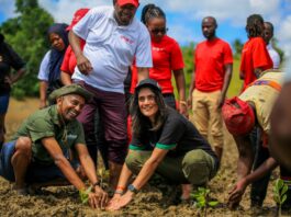 DTB’s ‘much more than trees’ initiative drives mangrove restoration in Kwale