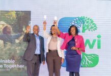 Green energy, green jobs, and growth: Inside Britam’s 2025 sustainability achievements