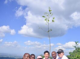 Beyond planting: LG and partners achieve high tree survival rate in Ngong hills ecosystem