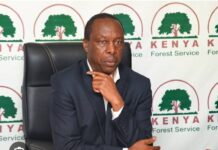 PS Gitonga Mugambi calls for stronger partnerships to accelerate Kenya’s forestry agenda