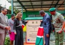 Government commissions solar power project at Nairobi remand prison