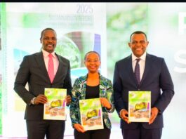 KenGen expands renewable energy pipeline to 5,500MW as it launches first sustainability report