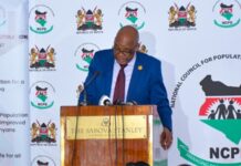 Kenya marks world population day 2026 with focus on youth aspirations and sustainable development
