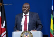 Kenya clarifies foreign worker and small-scale trade directives