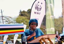 Lifeline of the East African savanna: Securing the future of the transboundary Mara River