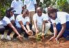 Gertrude’s Children’s Hospital advances sustainable healthcare through green initiatives