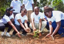 Gertrude’s Children’s Hospital advances sustainable healthcare through green initiatives