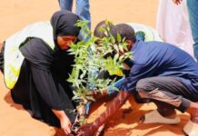 Kenya targets 17.24M trees in Mazingira Day campaign